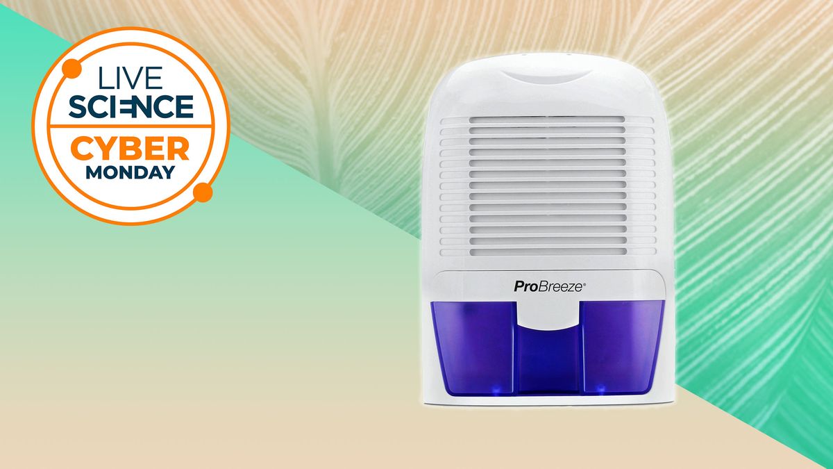Notre déshumidificateur compact préféré coûte désormais moins de 40 £. Prenez le ProBreeze Mini pendant que vous le pouvez