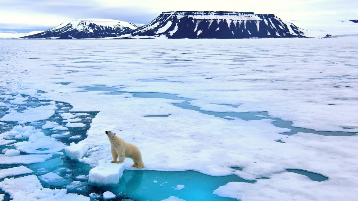 « Une étape inquiétante pour la planète » : le premier jour sans glace dans l'océan Arctique pourrait être dans seulement trois ans, selon une étude alarmante
