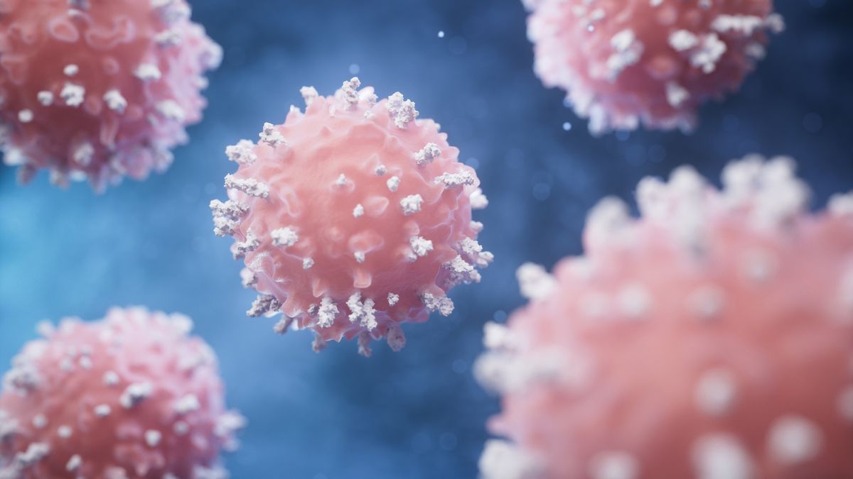 Des scientifiques fabriquent des cellules immunitaires uniques en leur genre pour protéger les greffes des attaques