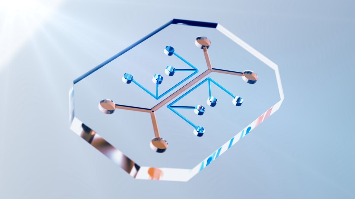 De minuscules « laboratoires » portables trient les germes à l’électricité