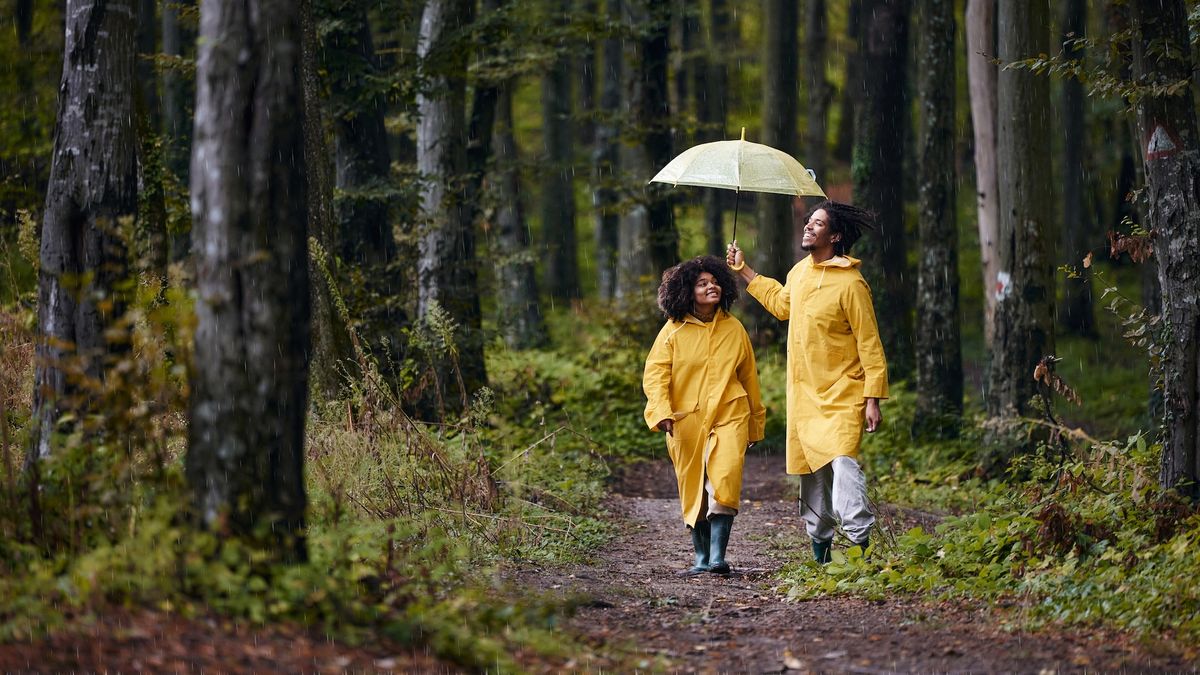 Que signifie un bulletin météo indiquant 30 % de probabilité de pluie ?