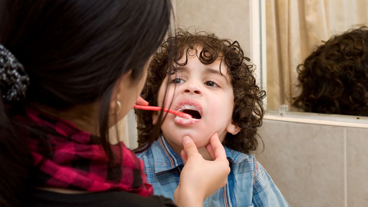 Comment le fluor prévient-il les caries ?