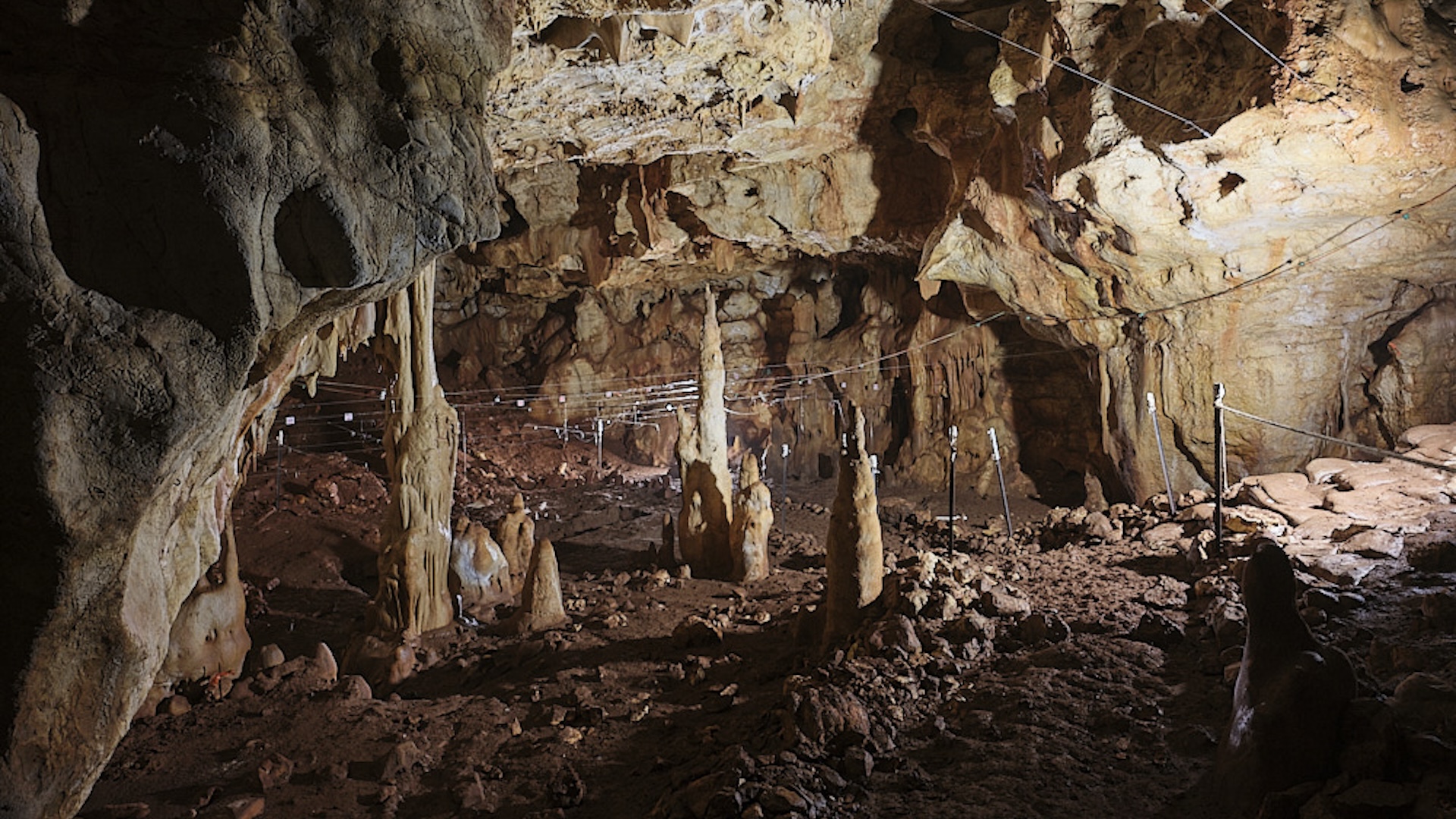 Une photo à l'intérieur de la grotte de Manot