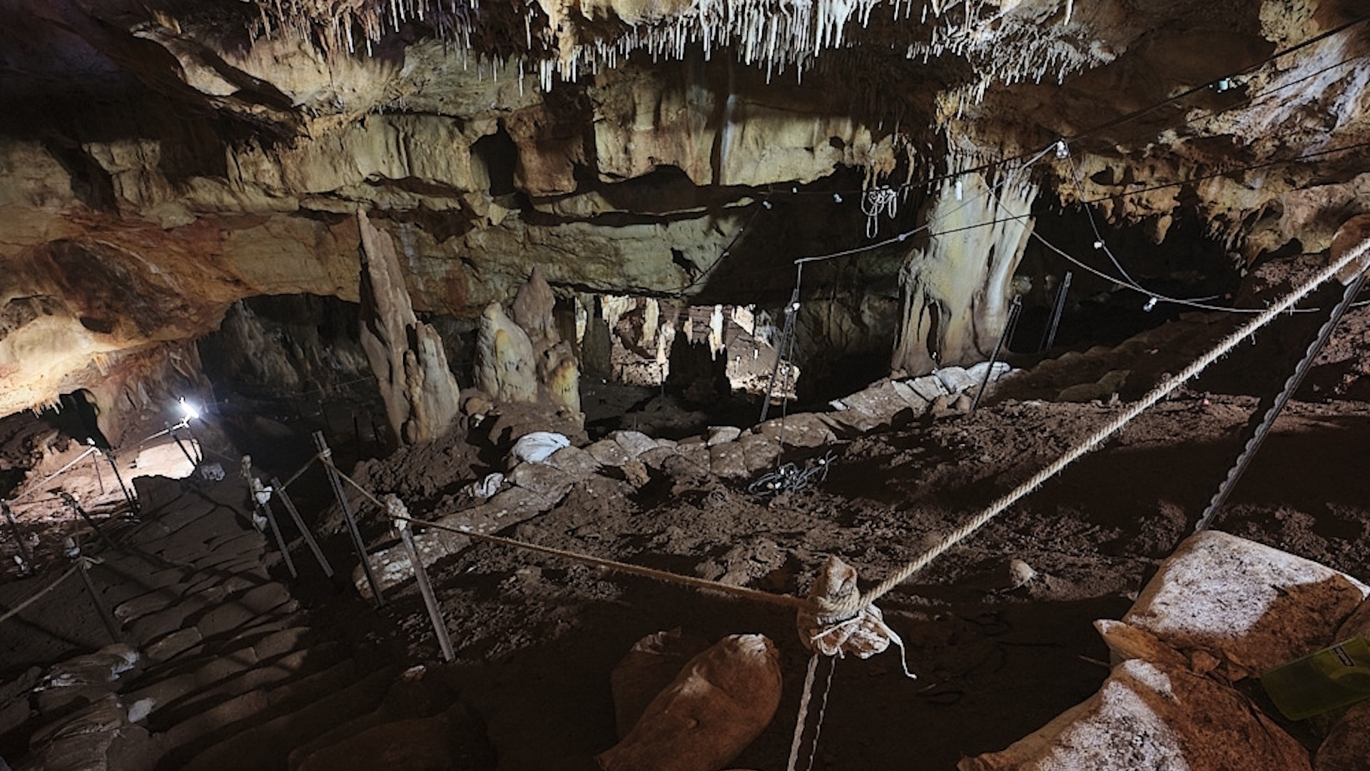 Une photo à l'intérieur de la grotte de Manot