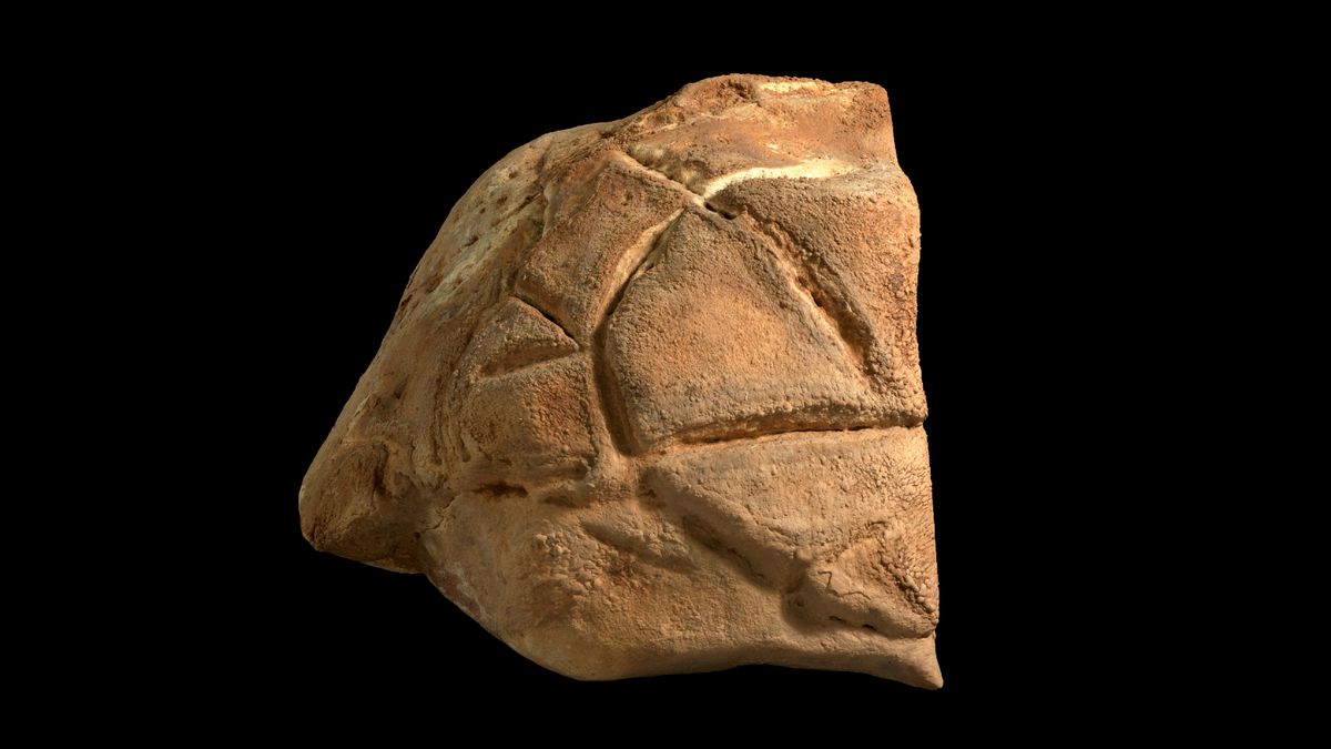Une sculpture en « écaille de tortue » vieille de 35 000 ans pourrait être la plus ancienne preuve de comportement rituel en Terre Sainte
