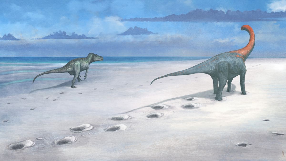 D'étranges bosses dans une carrière britannique s'avèrent être une « autoroute » vieille de 166 millions d'années pour certains des plus grands dinosaures du Jurassique