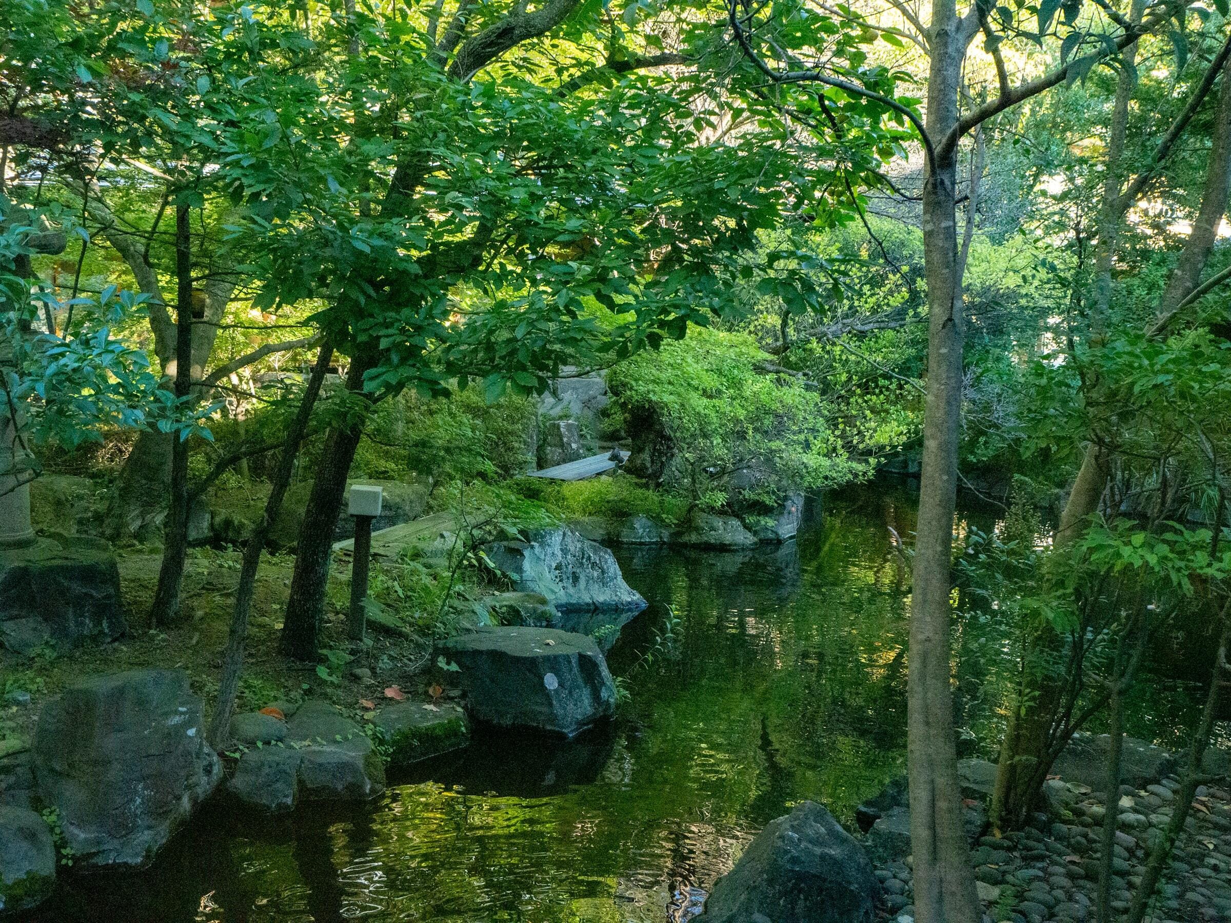 C'est ici que les Tokyoïtes vont pour échapper à une anxiété paralysante