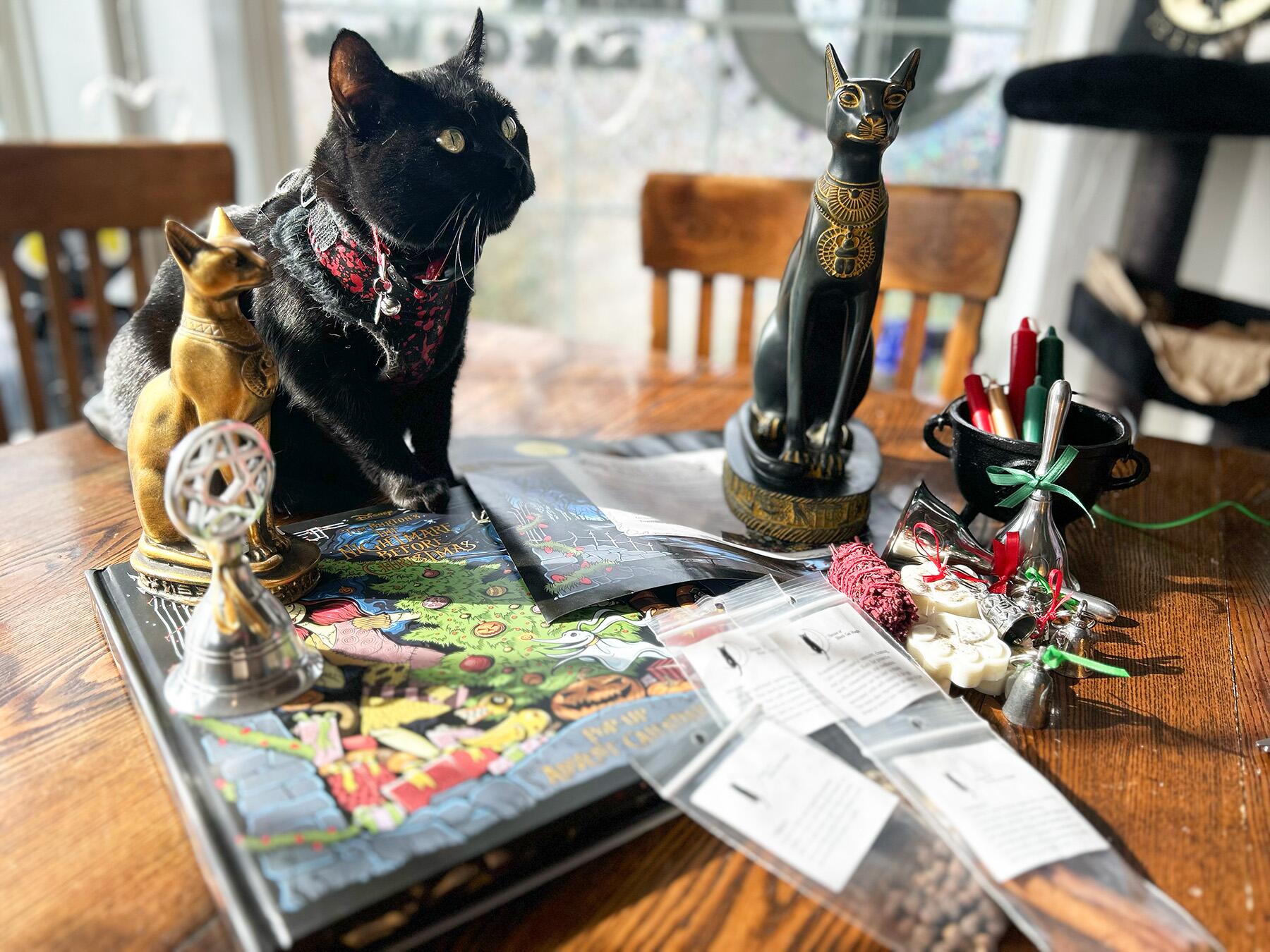 Comment une bande de chats noirs a aidé une communauté post-catastrophe