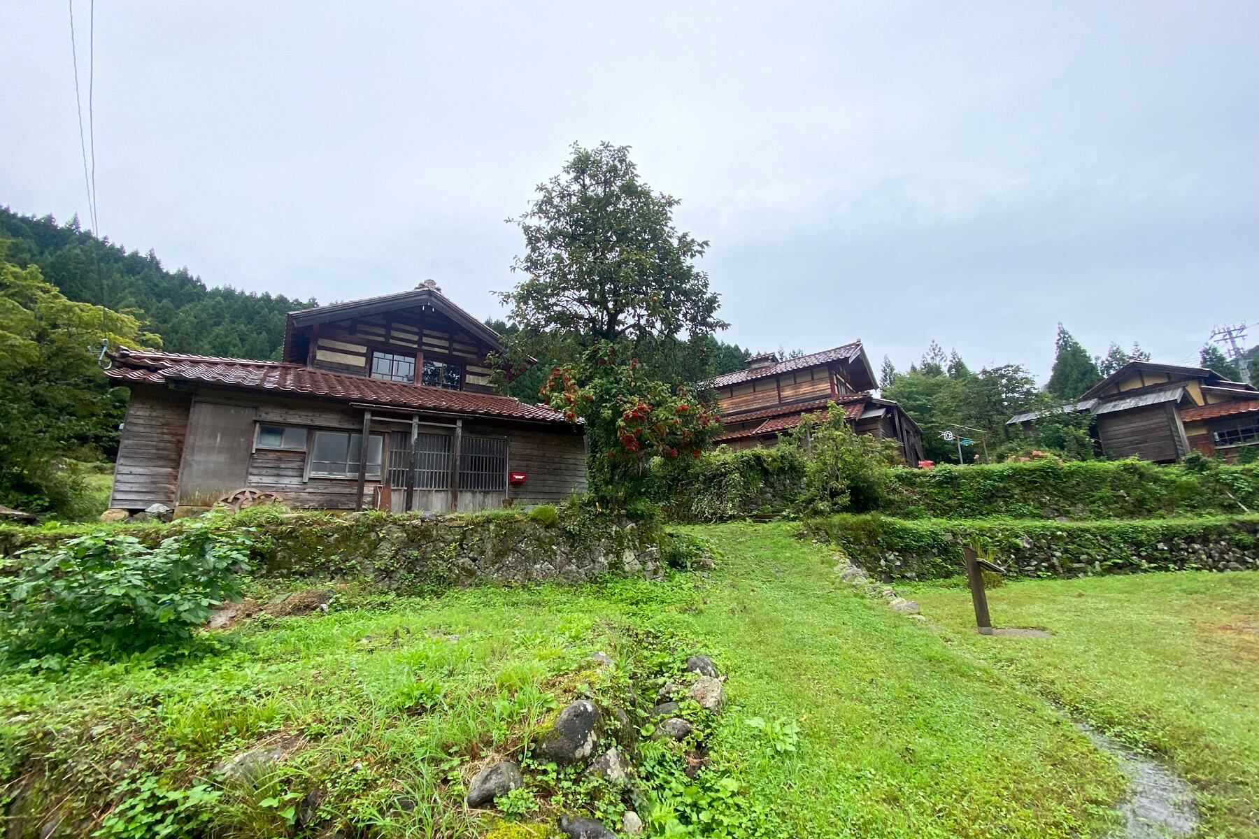 Cette ville japonaise n'a qu'un seul habitant (et un chat)