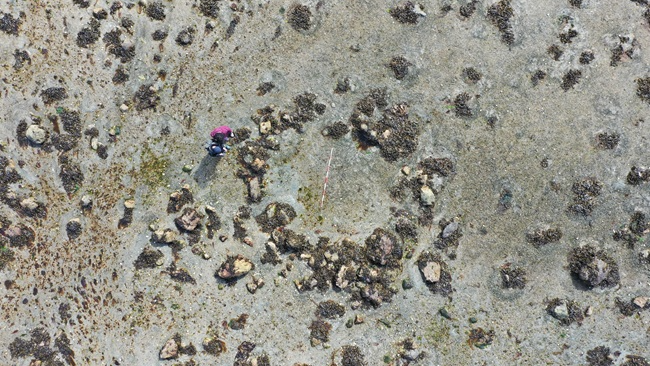 Circular alignment of stones in the center of an image full of stones