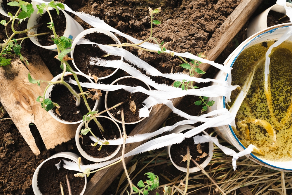 12 hacks simples pour faire du jardinage d'été un jeu d'enfant