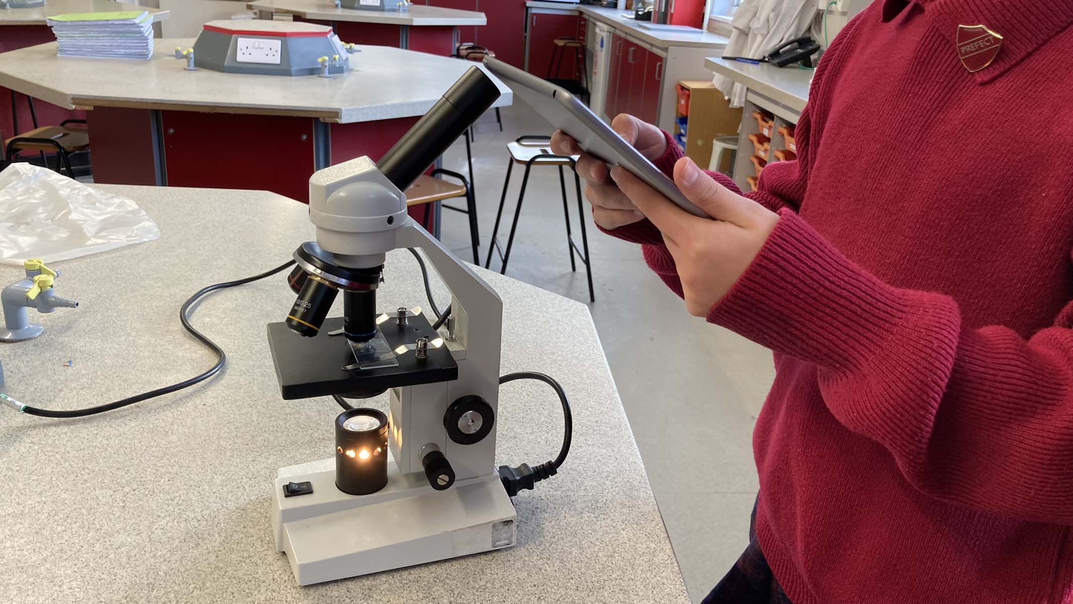 photographier un spécimen de microscope