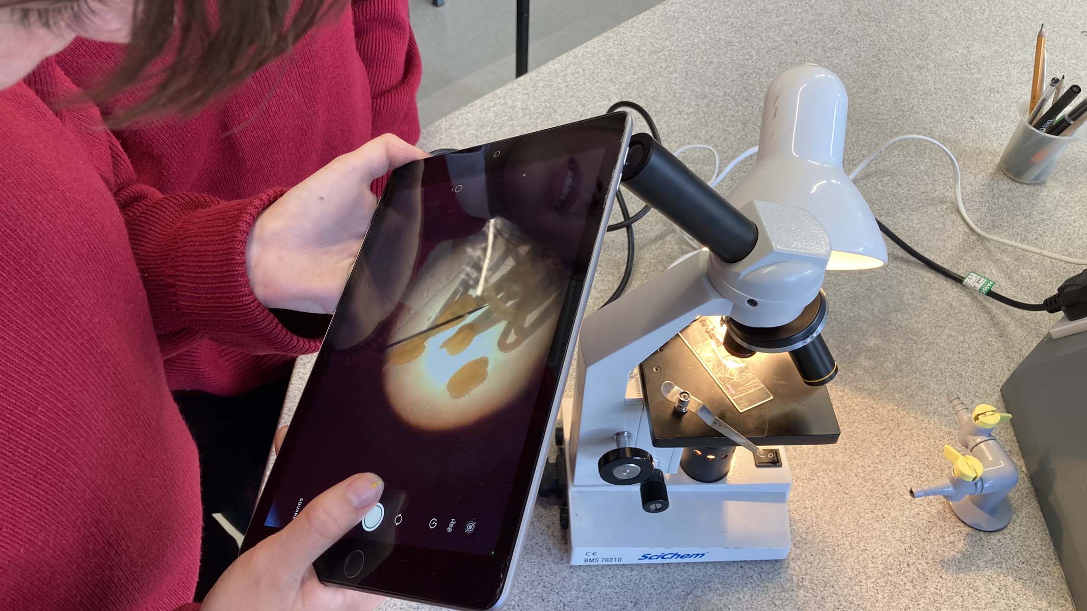 photographier un spécimen de microscope