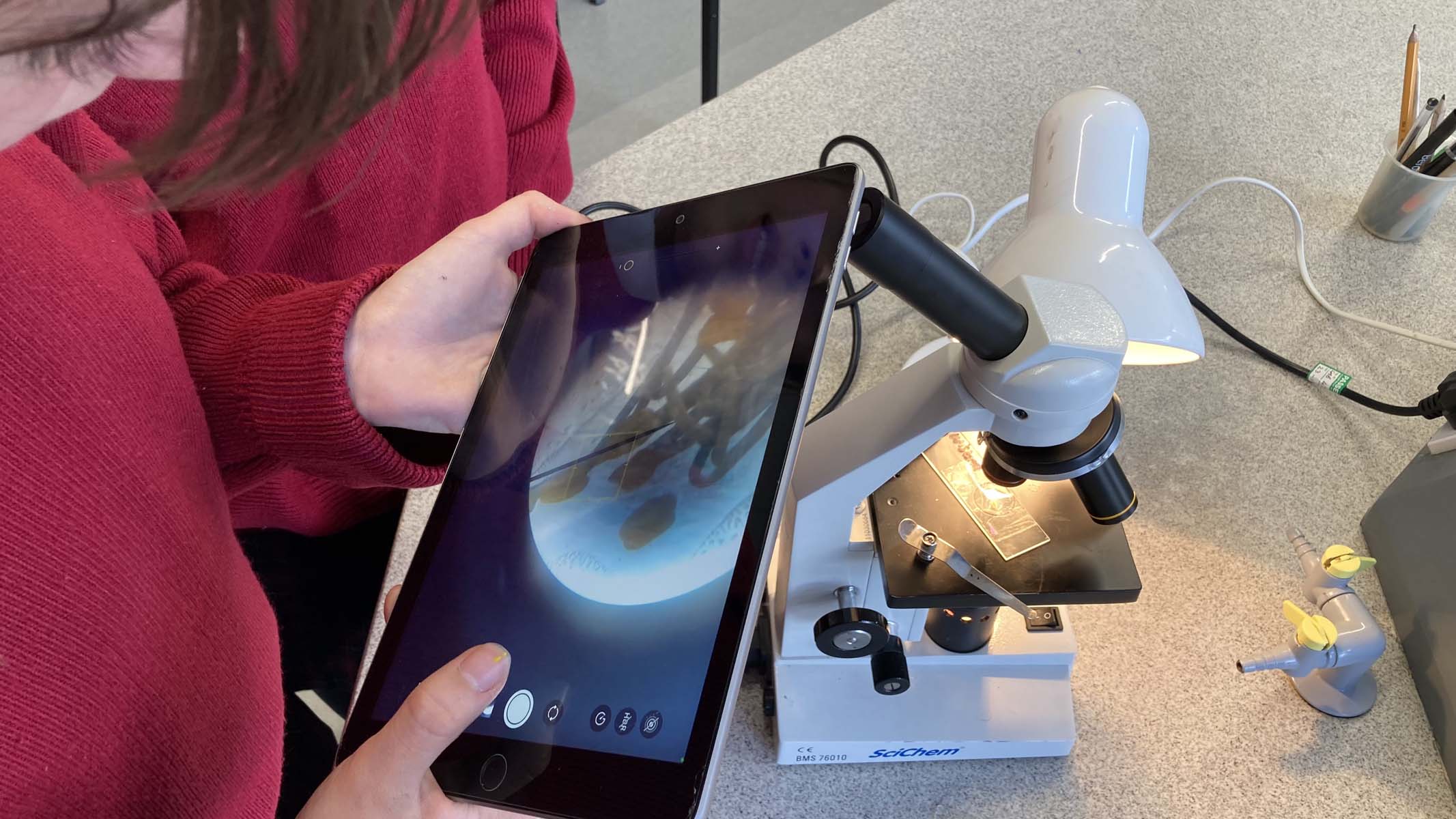 photographier un spécimen de microscope