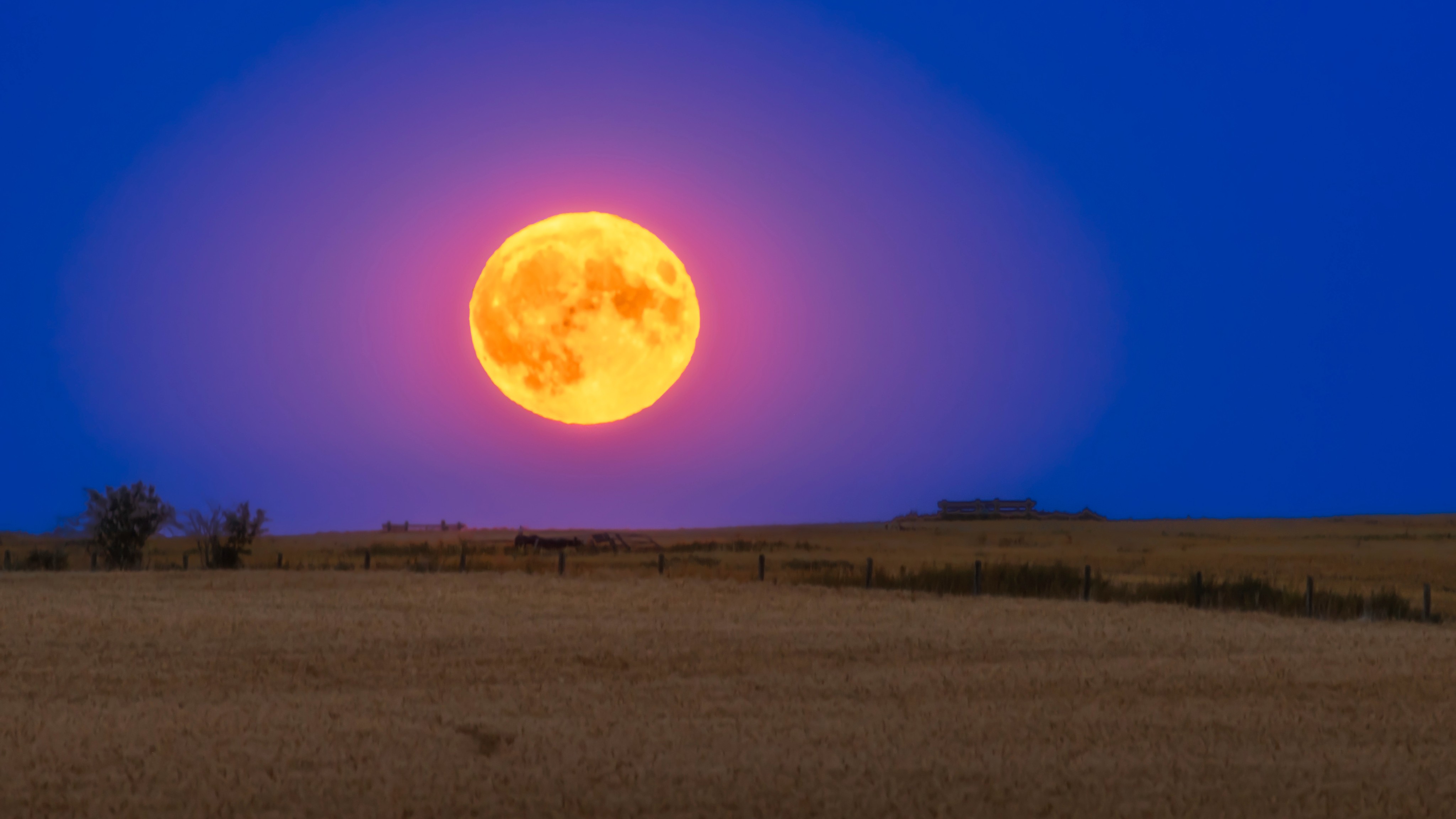 Une photographie de la pleine lune orange sur un champ en été
