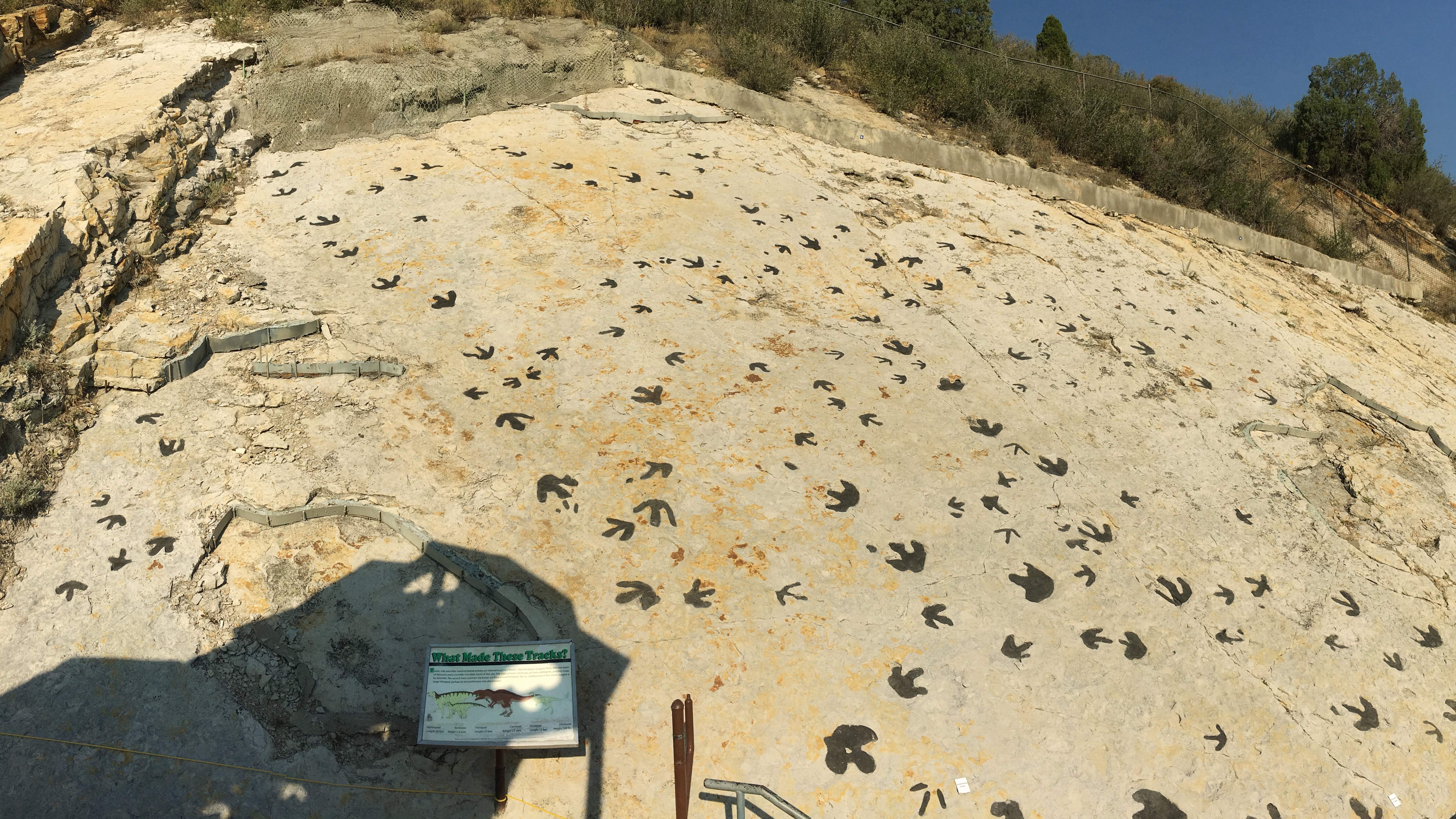 Une photographie d'empreintes de dinosaures sur une surface de roche à Dinosaur Ridge. 