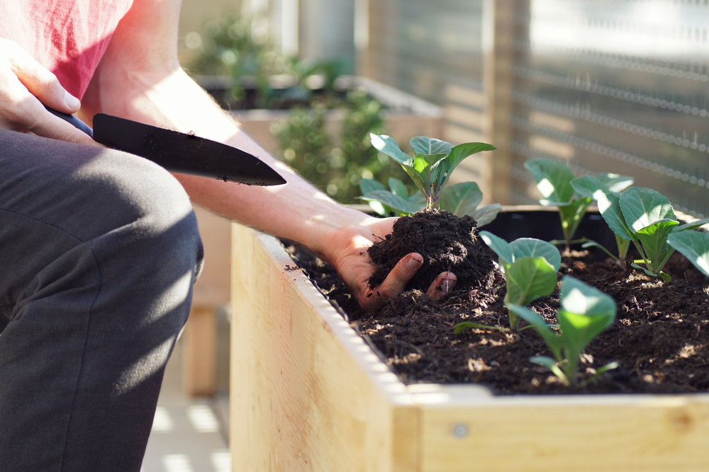 10 DIY Fall Garden Projects pour embellir votre cour