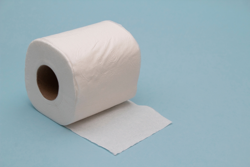 8 façons créatives de rouleaux de papier de toilette upcycle