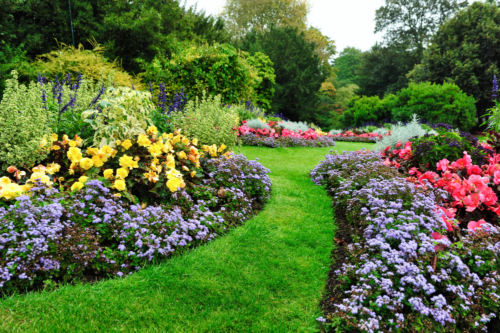 12 plantes de tête de bordure qui aident à arrêter les mauvaises herbes sur leurs traces