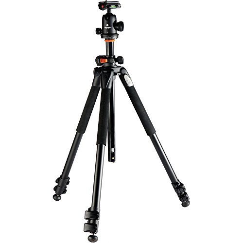 Vanguard Alta Pro 263AB 100 ...