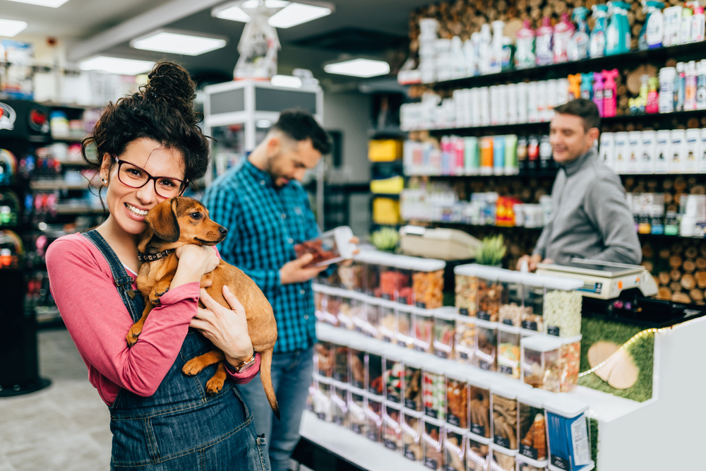 Top 11 essentiels pour animaux de compagnie à faible coût.