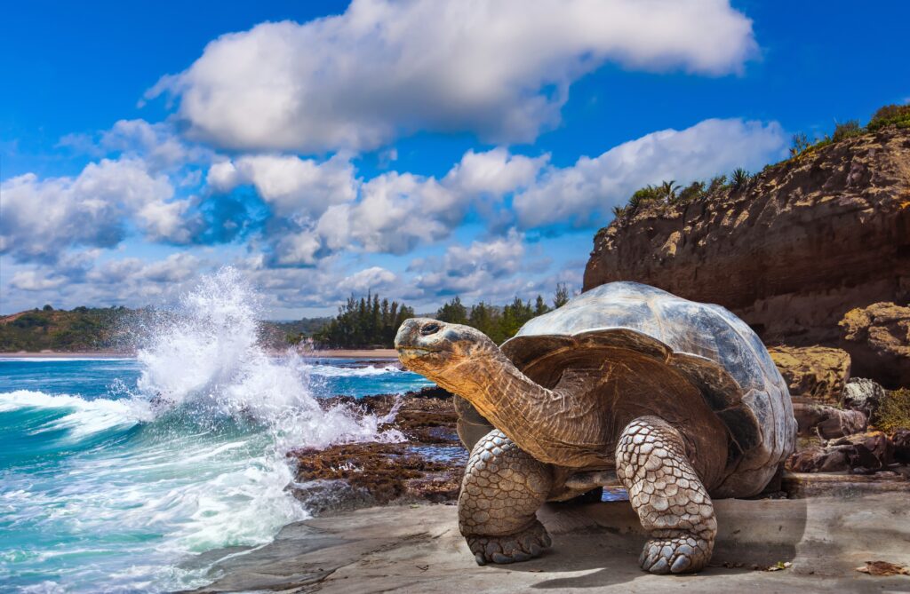 18 animaux incroyables trouvés uniquement sur les îles du monde