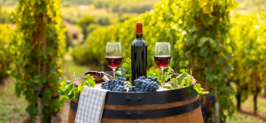 Dégustation de vin à Bordeaux, France