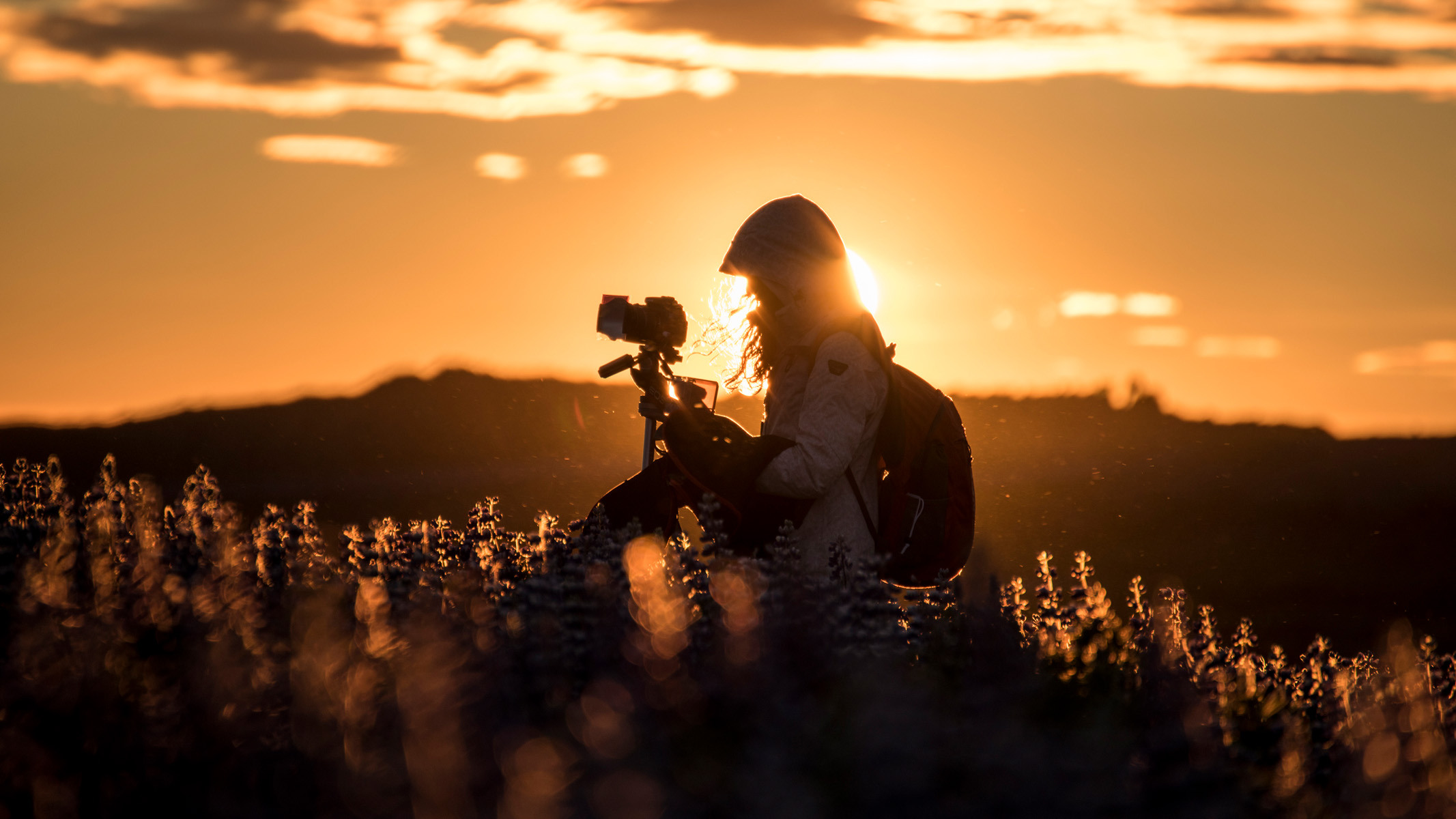 Femme photographiant des fleurs dans un champ