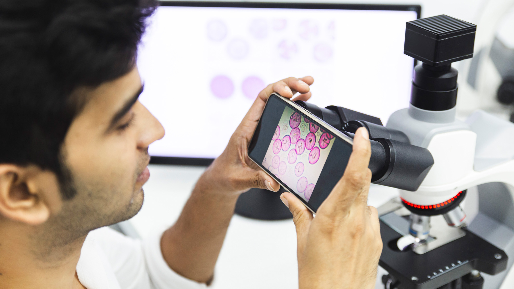 homme photographiant le spécimen de microscope avec un téléphone