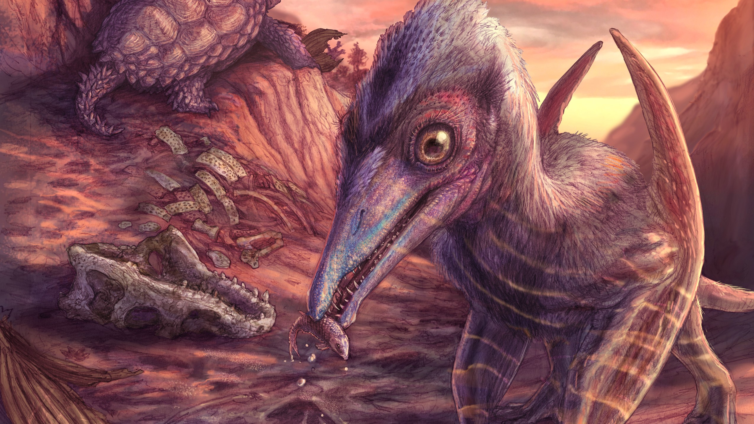 Une illustration courte du petit ptérosaure, Eotephradactylus McIntireae, se nourrissant de poissons dans un ancien écosystème du Trias tardif. 