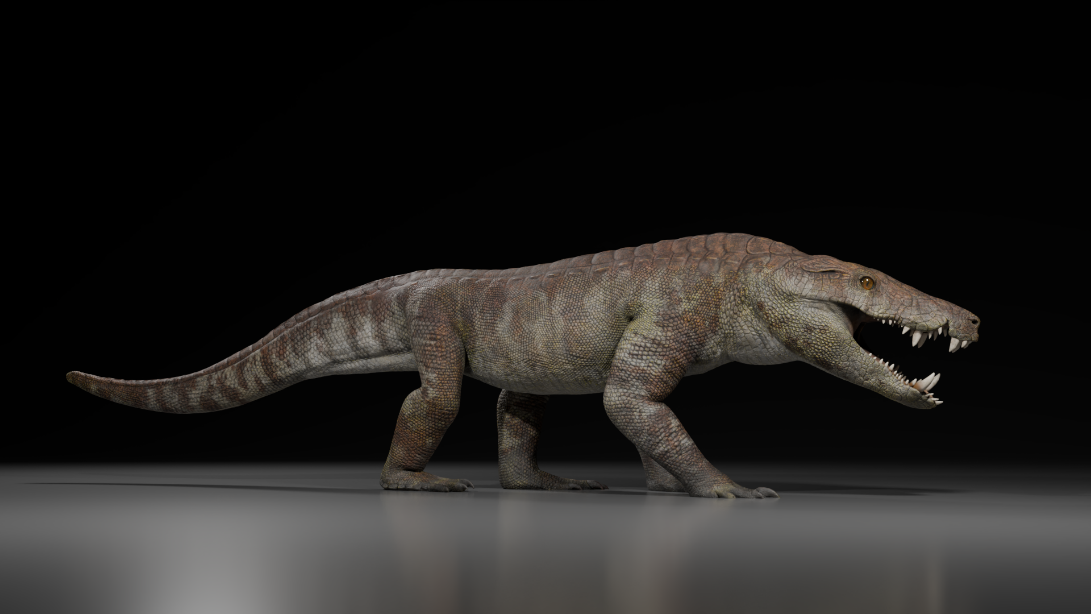 A life reconstruction of Kostensuchus atrox against a black background.