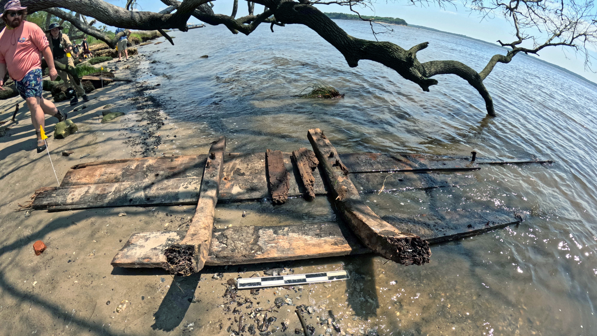 Plusieurs morceaux de vieux bois sont assis sur une plage