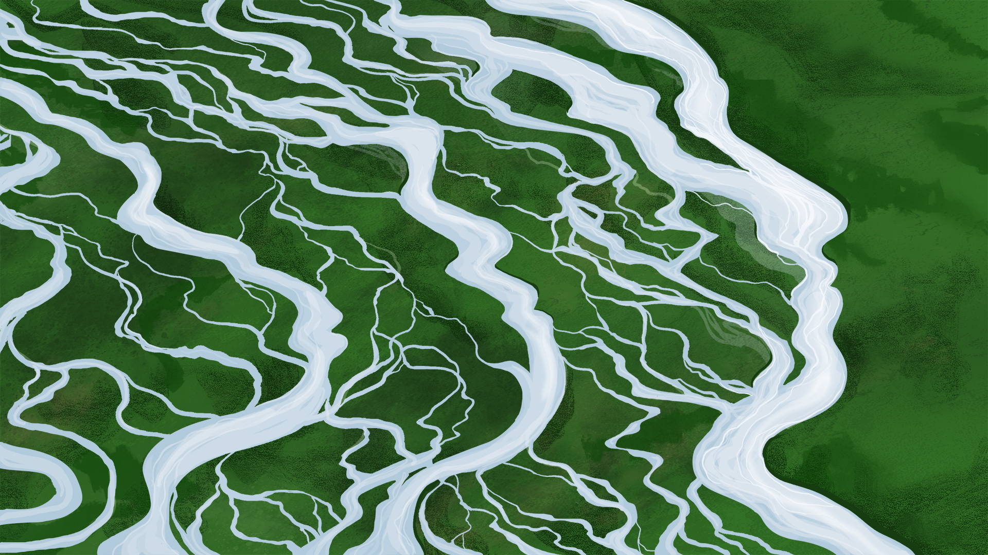 an illustration of braided streams with the silhouettes of a human face and human ancestors