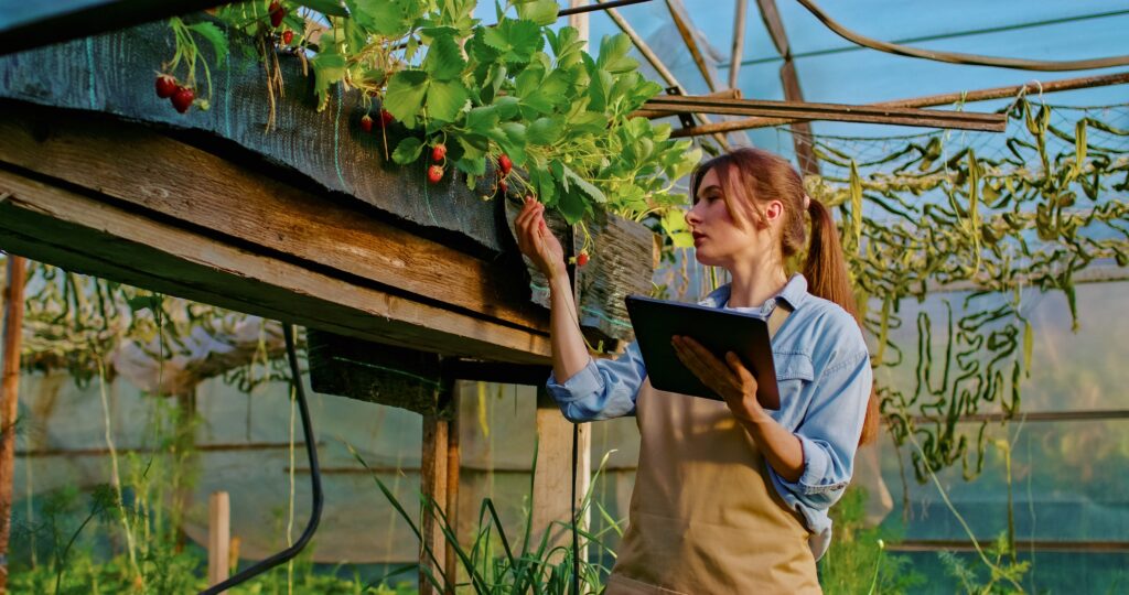 15 choses à faire pour que vos plantes ne se flétrirent pas dans la chaleur