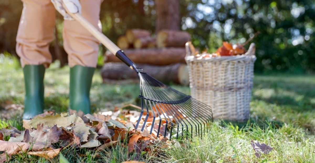 14 étapes faciles pour préparer votre jardin avant l'arrivée de l'automne