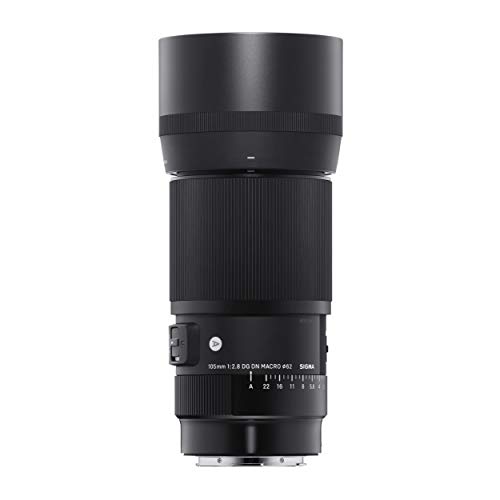 Sigma 105 mm f2.8 dg dn macro ...