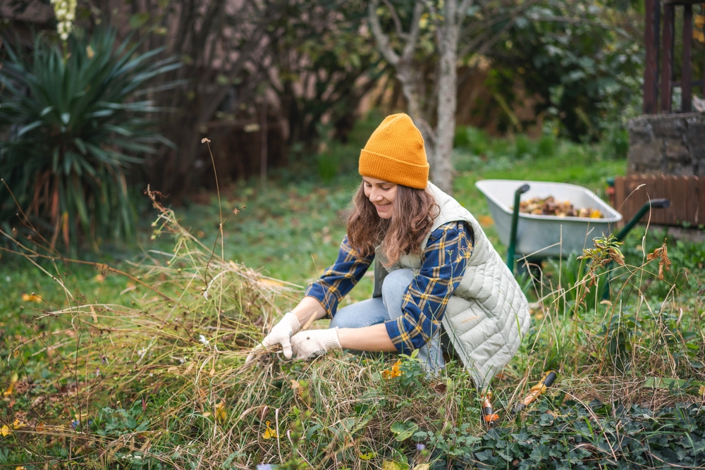 12 tâches de jardinage de fin d'été que vous ne devriez pas sauter