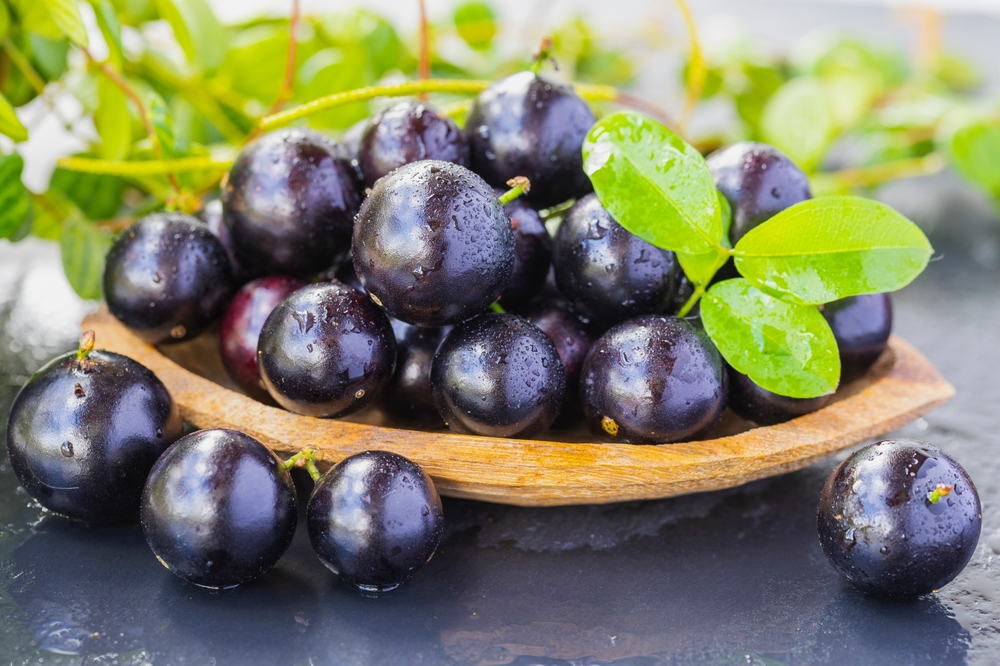 12 fruits rares que la plupart des gens n'ont jamais essayé