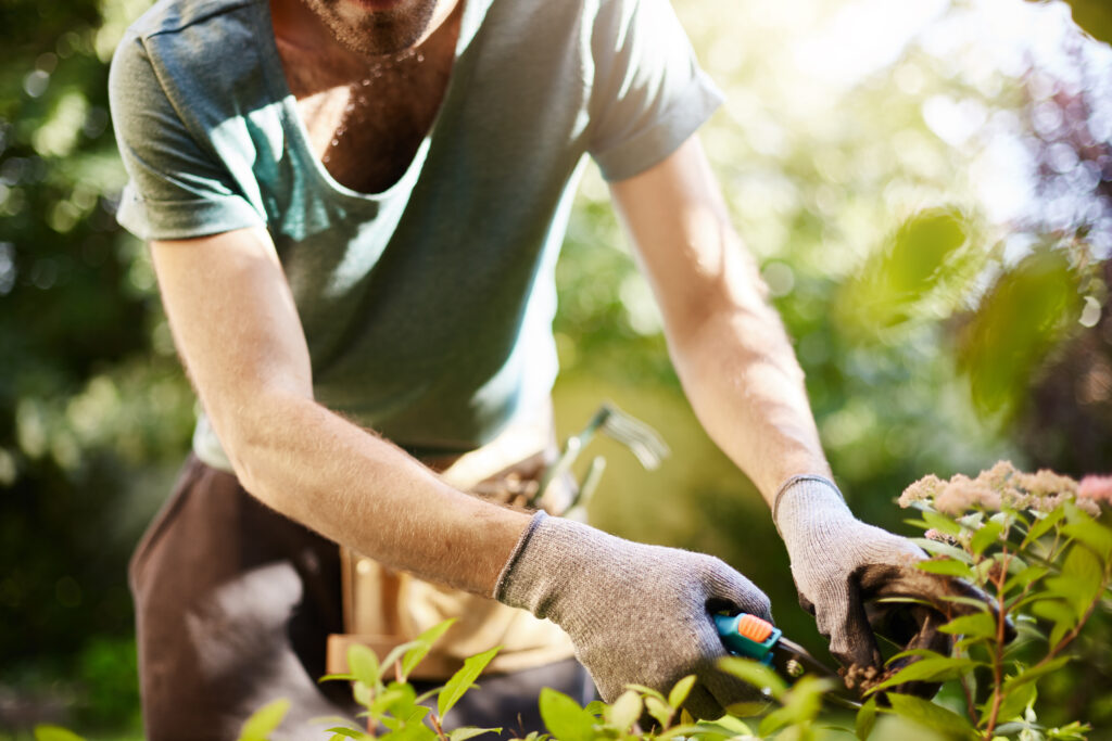 15 choses à faire dans votre jardin avant l'arrivée de l'automne