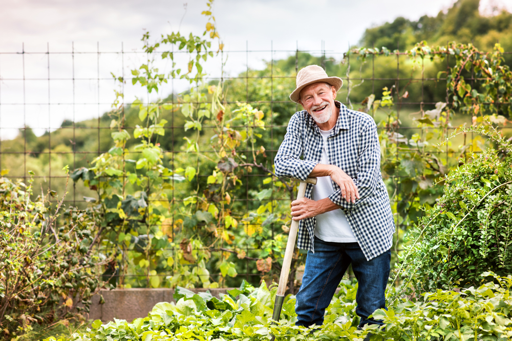 11 façons de raviver votre jardin après la chaleur estivale