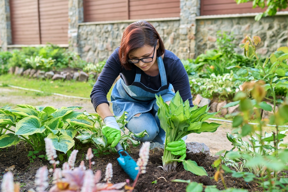 11 vivaces qui font le mieux lorsqu'ils sont plantés à l'automne