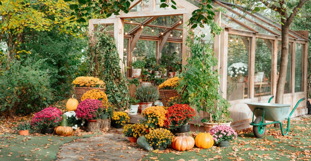12 façons de créer un jardin adapté aux pollinisateurs en automne