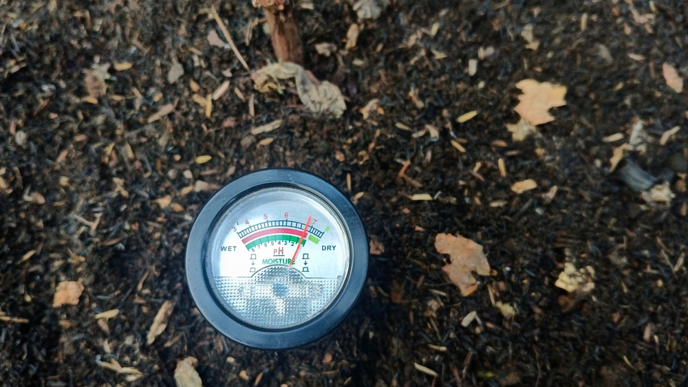 12 solutions simples au sol que vous pouvez effectuer maintenant pour des lits plus sains plus tard