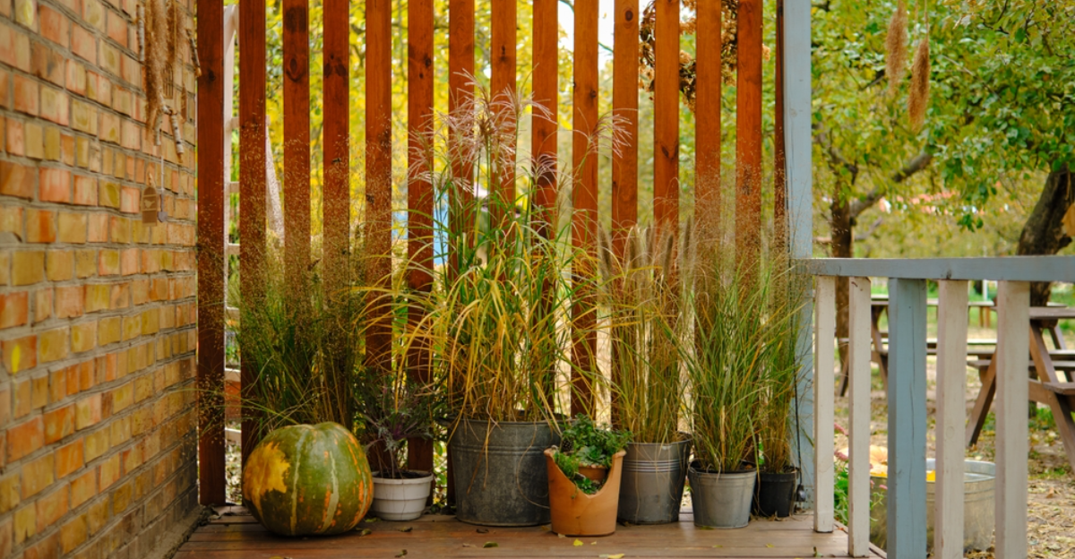 15 conseils de jardinage d'automne pour les petits espaces et les patios
