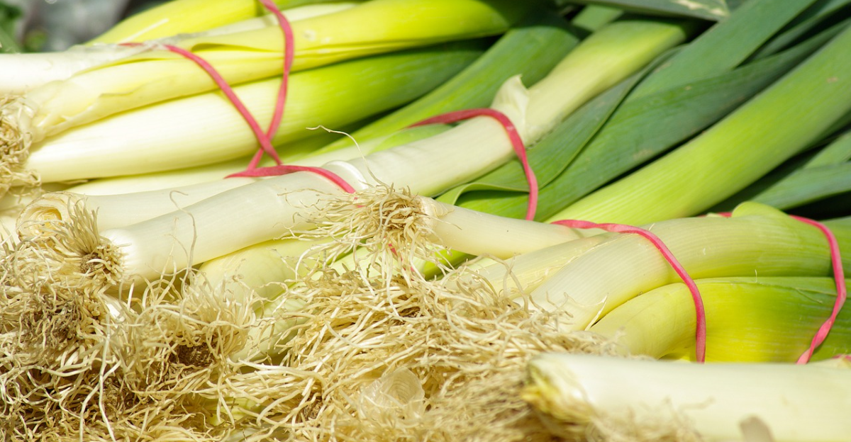 15 légumes vivaces pour commencer dans le jardin d'automne