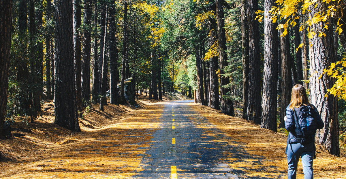 15 activités de plein air amusantes pour tirer le meilleur parti de l'automne