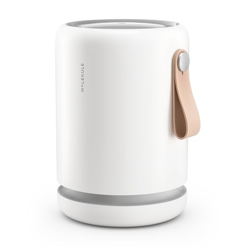 Molekule Air Purificateur Mini + -...