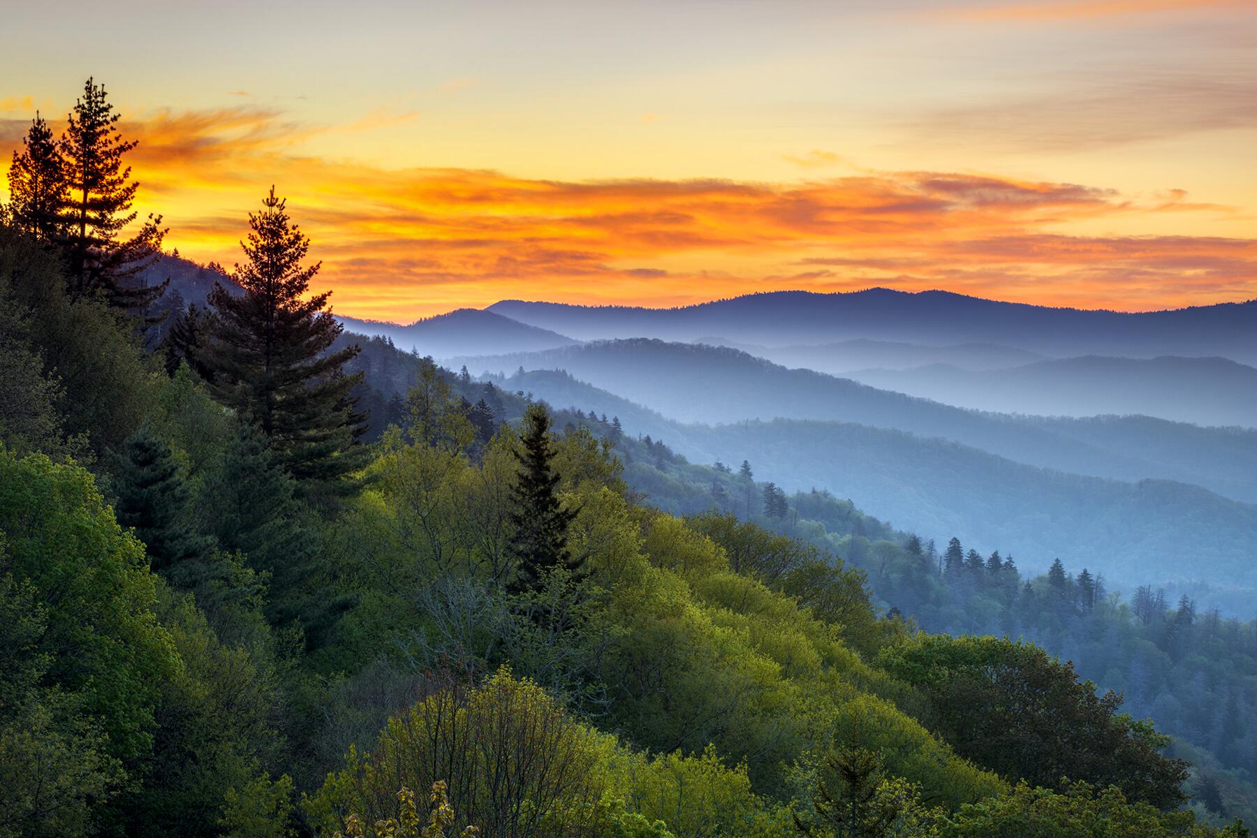 Great Smoky Mountains 101: Tout à savoir avant de visiter le parc national