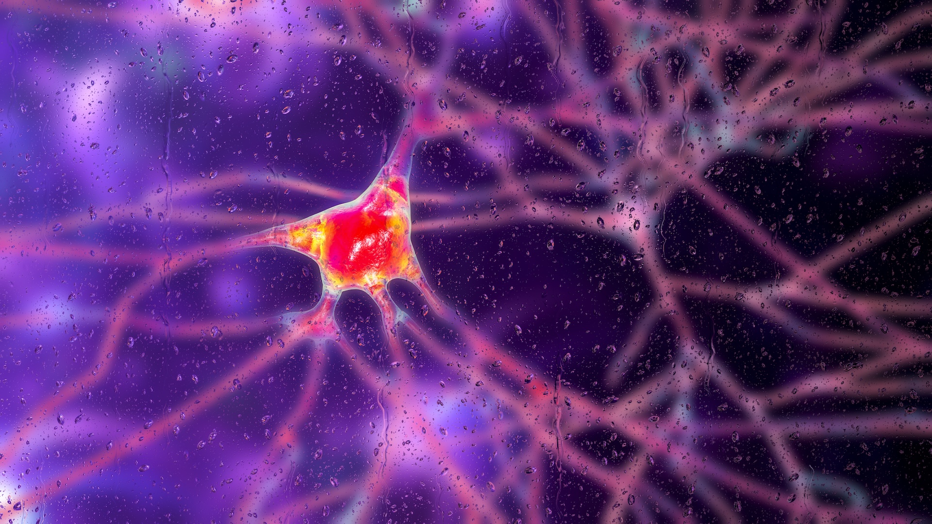 an illustration of a neuron
