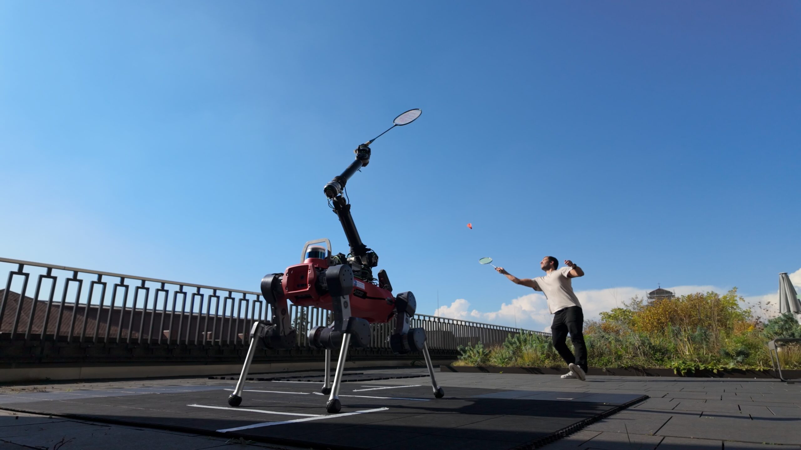 A four-legged robot with a single long arm plays badminton against a researcher